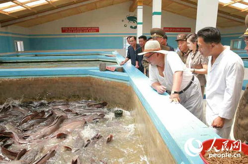 金正恩偕夫人視察鲇魚廠點贊品質，稱贊鲇魚、肉類令人稱贊
