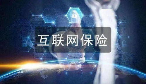 個人互聯(lián)網(wǎng)服務(wù) 便捷高效的保險(xiǎn)購買途徑